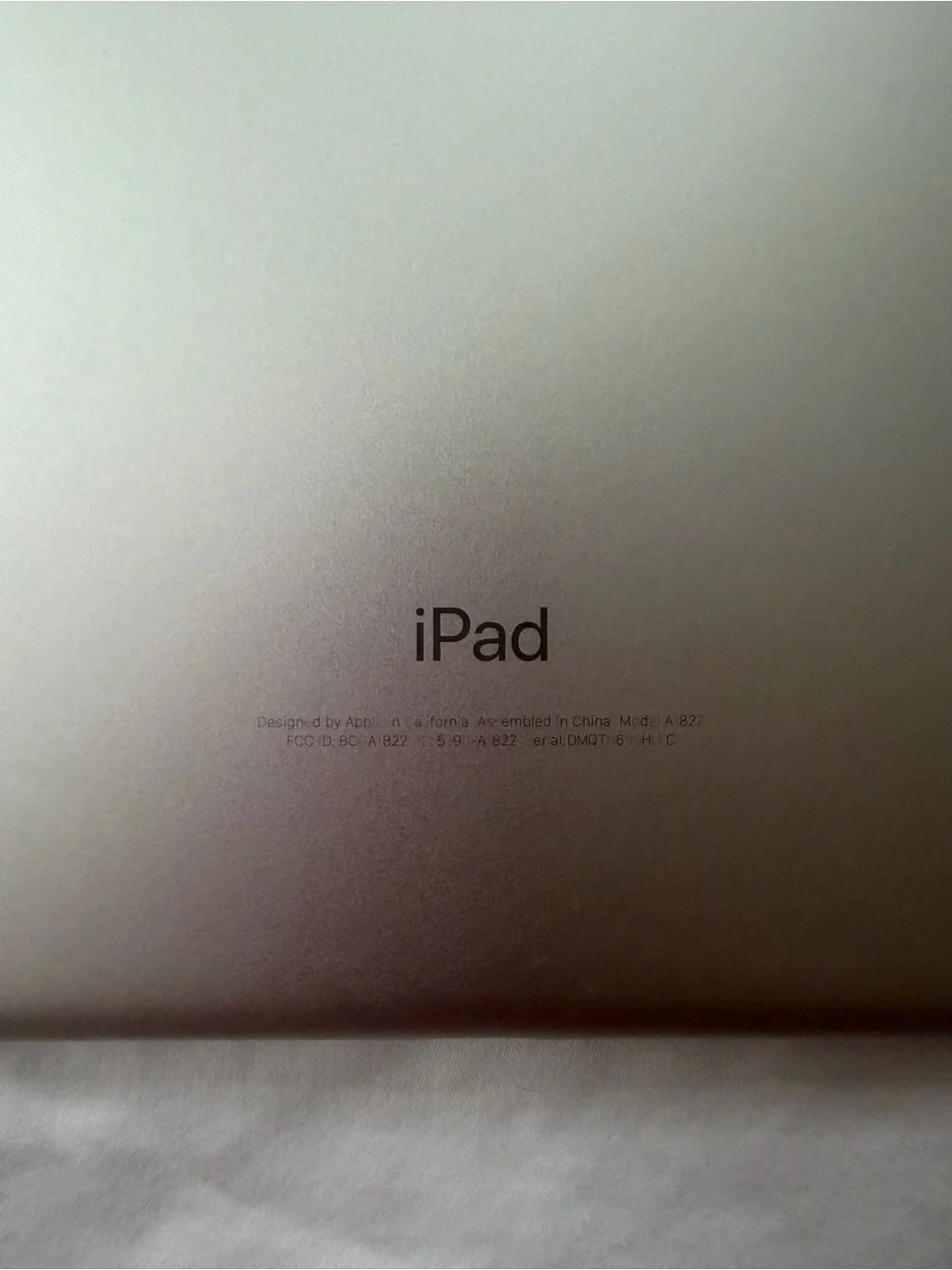 Apple iPad